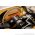 New POWERMATIC PM2000T Tablesaw w/ArmorGlide, 50 in. Rip and Work Bench for sale