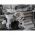 New LION Engine Lathe: 25-CU for sale