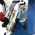 BAILEIGH Mitering Band Saw BS-250M