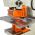 BAILEIGH Hydraulic Ironworker SW-95